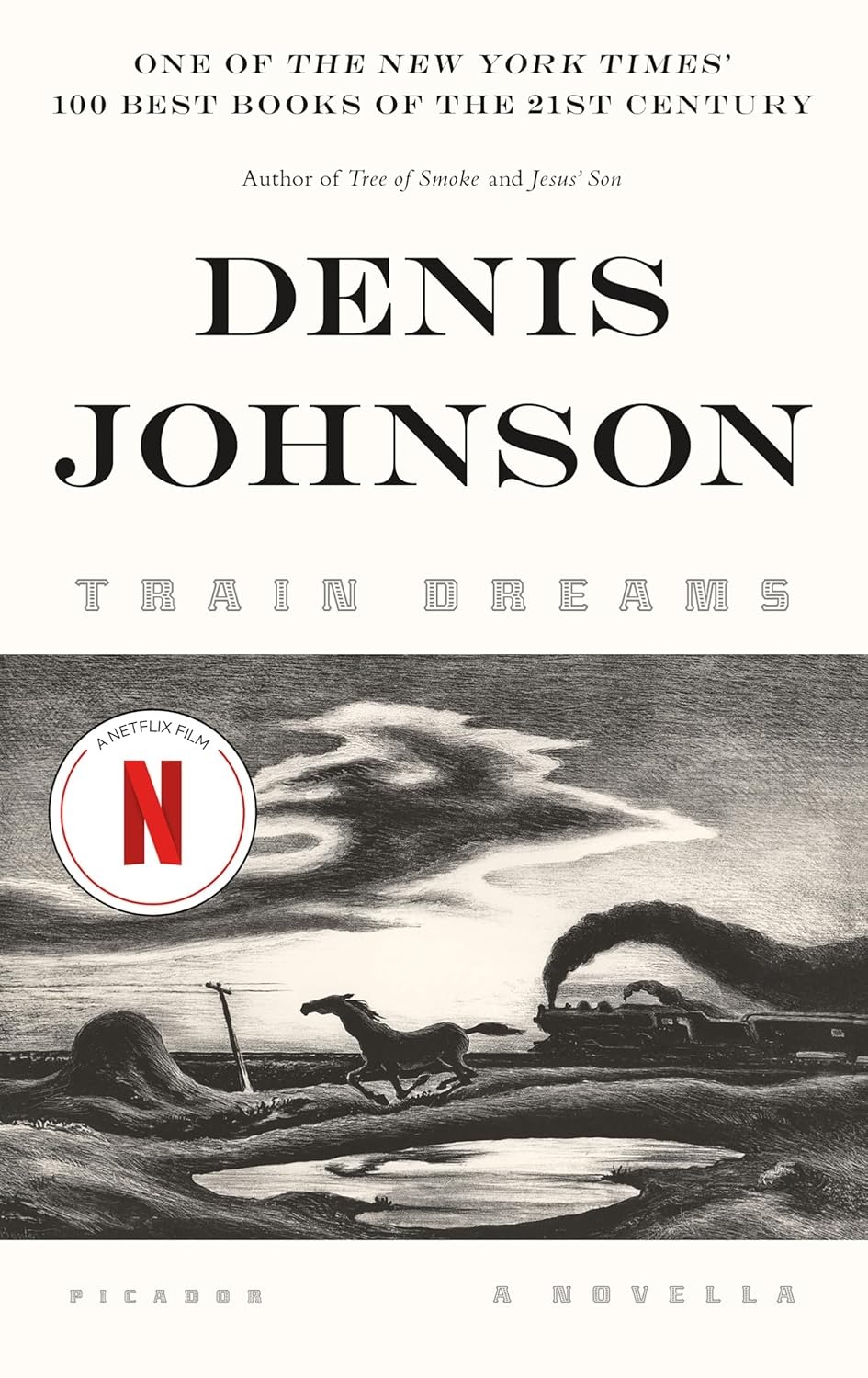 What did you think about Train Dreams?